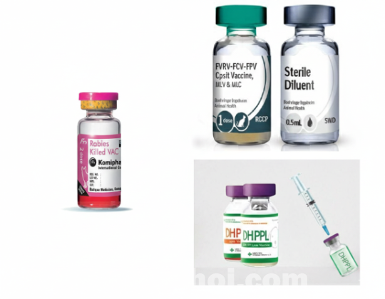 বিড়াল ও কুকুরের Rabies ও Flu vaccine